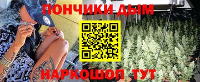 мдпв Кингисепп
