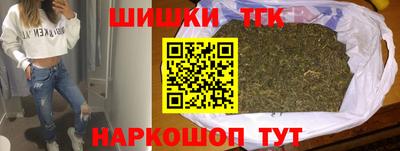 мдпв Кингисепп