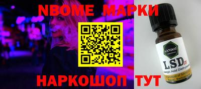 мдпв Кингисепп