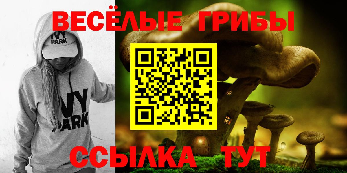 Псилоцибиновые грибы прущие грибы  Псилоцибиновые грибы Psilocybine cubensis  Железногорск  Вход с VPN 